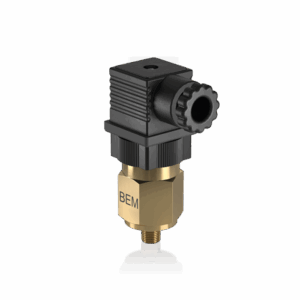 BEM