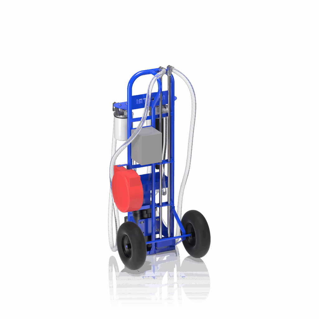 GRF3 - Immagine 3 di 3